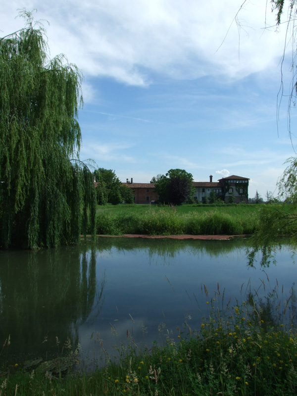 DSCF0704.jpg