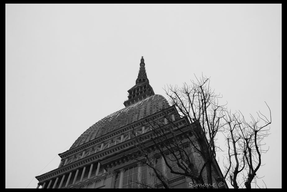 DSCF0717_1B&W(senza-macchie)v2.jpg