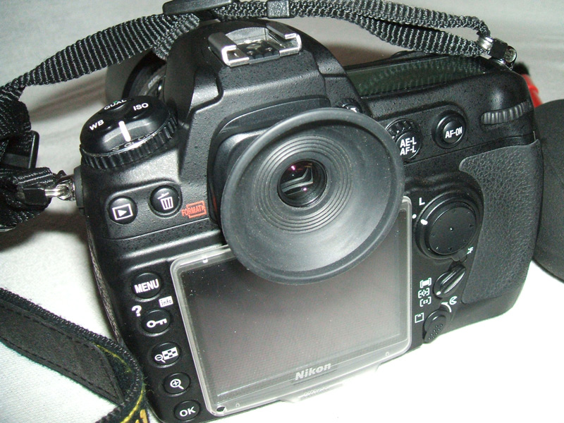 DSCF0730.jpg