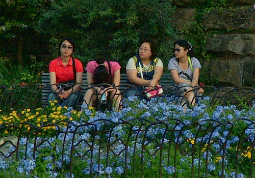 DSCF0731.JPG