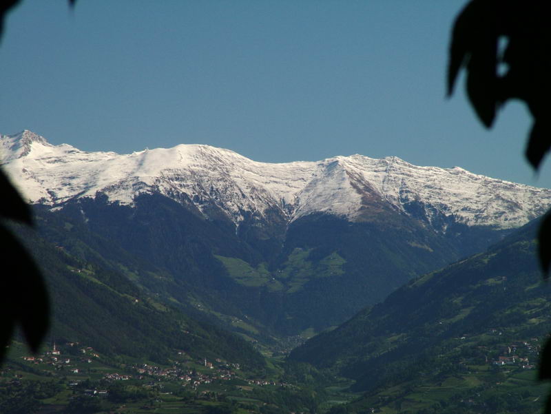 DSCF0743.JPG