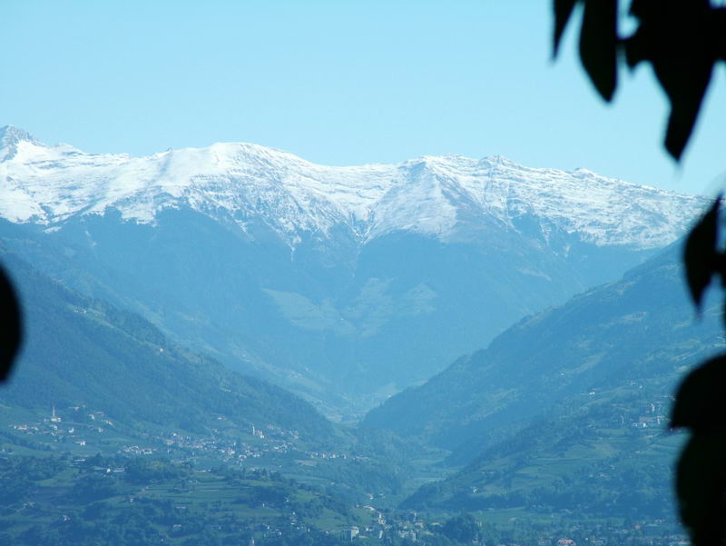 DSCF0744.JPG