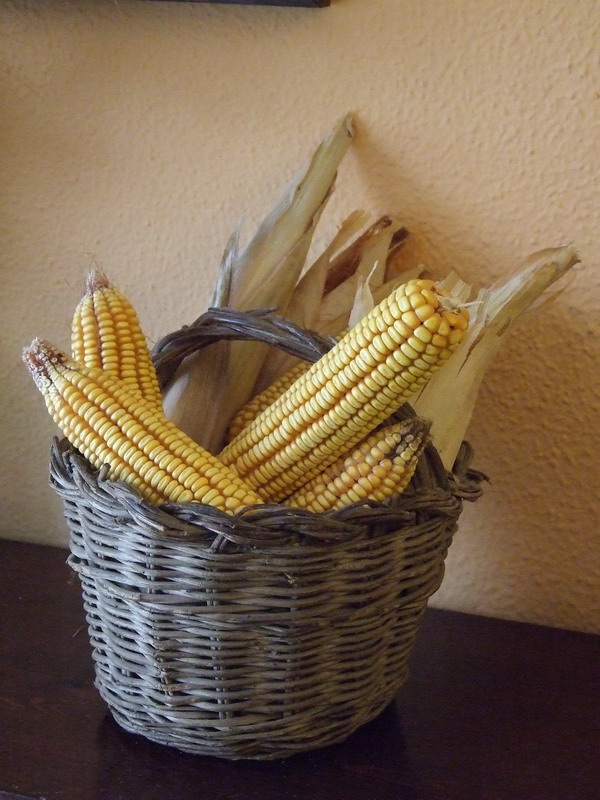 DSCF0748c.jpg