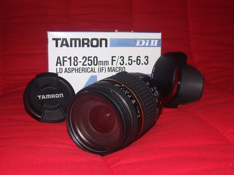 DSCF0786.jpg