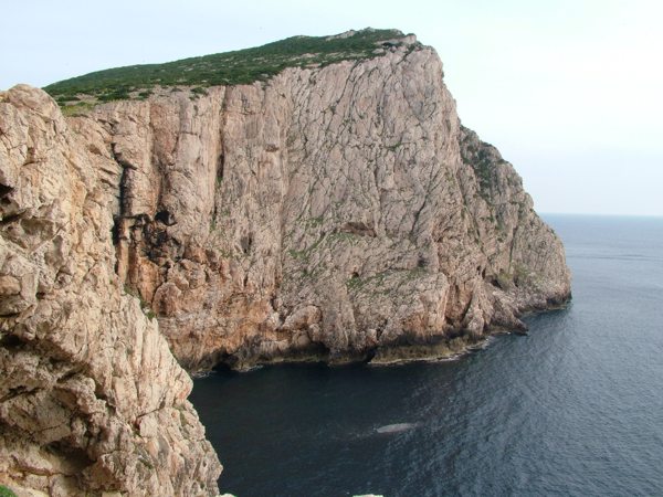 DSCF0831.jpg