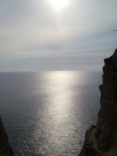 DSCF0847.jpg