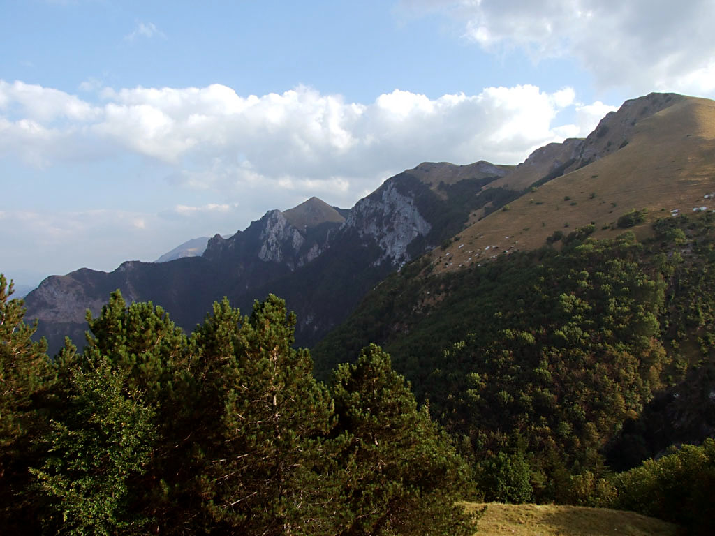 dscf0856_795.jpg