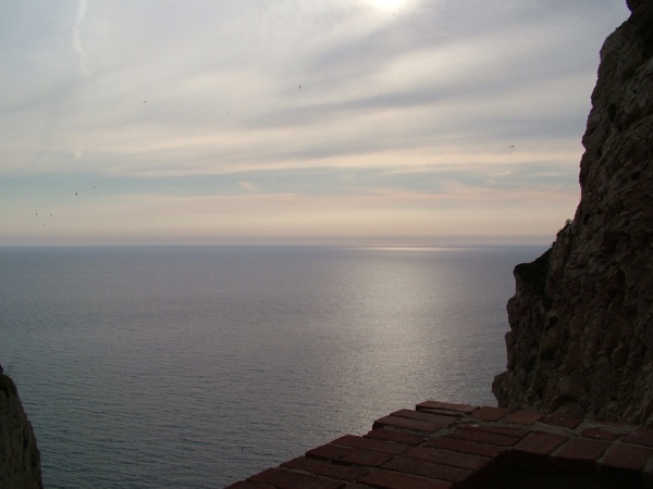 DSCF0868.jpg