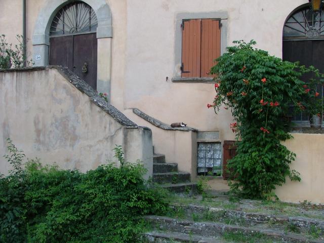 dscf0870.jpg