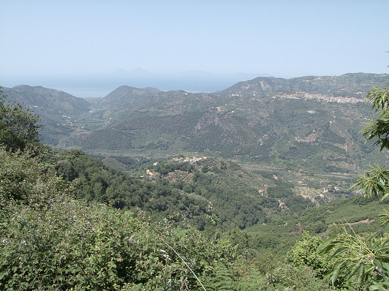 DSCF0956r.jpg