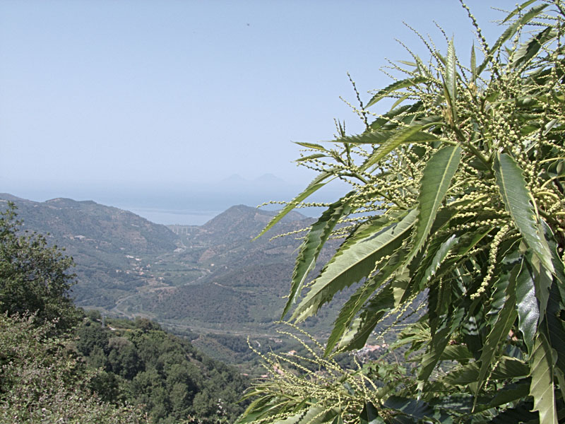DSCF0961r.jpg