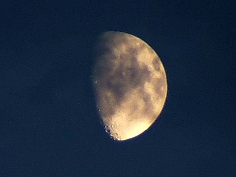 Dscf0996crop.jpg