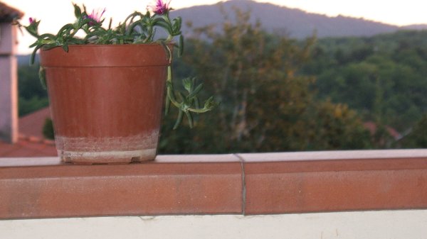 Dscf0999.jpg
