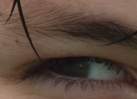 DSCF1002crop.jpg