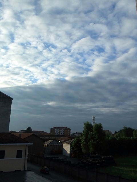 DSCF1003.JPG
