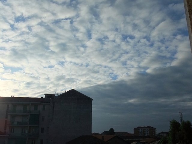 DSCF1004.JPG