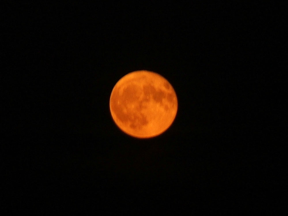 DSCF10152.jpg