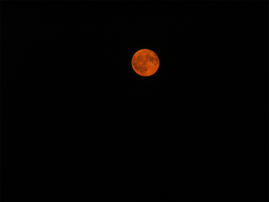 DSCF1021.jpg