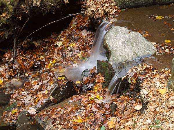 DSCF1033.JPG