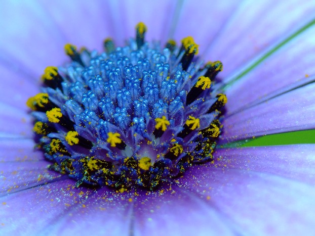DSCF1127.JPG9.jpg