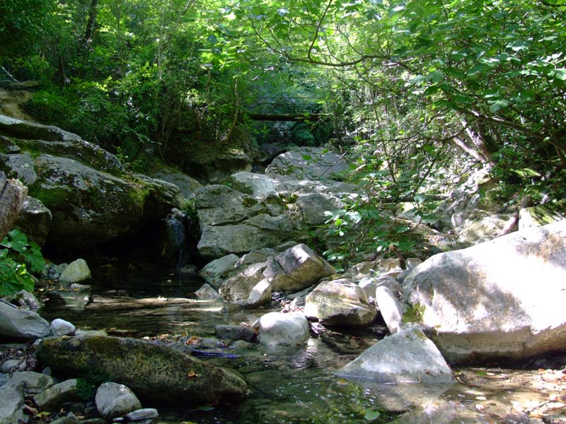 DSCF1136.jpg