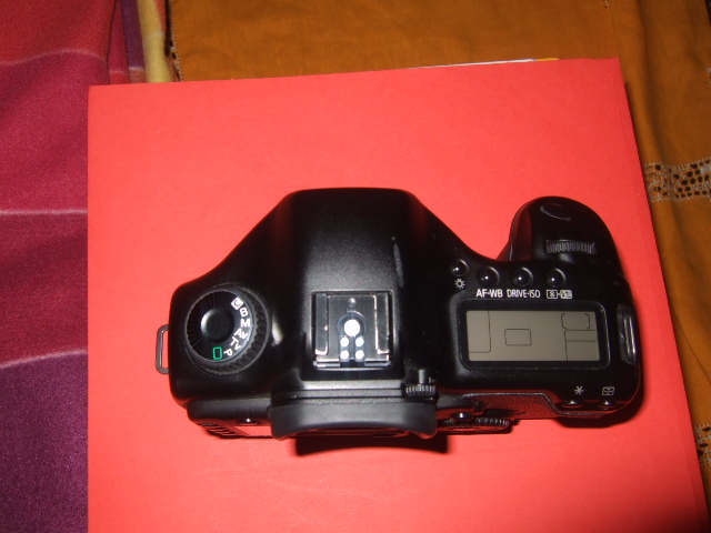 DSCF1166.jpg