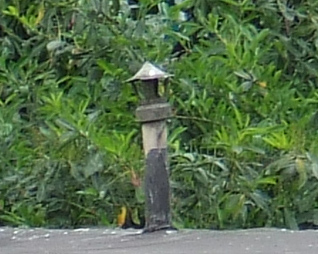 DSCF1174.jpg