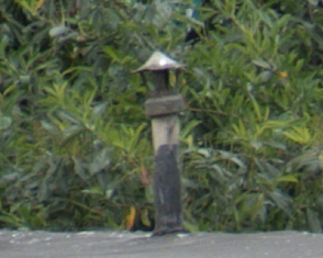 DSCF1175.jpg
