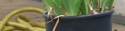 DSCF1179.jpg