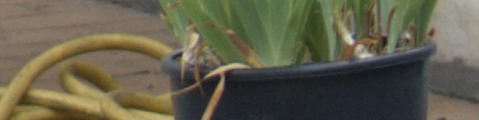 DSCF1180.jpg
