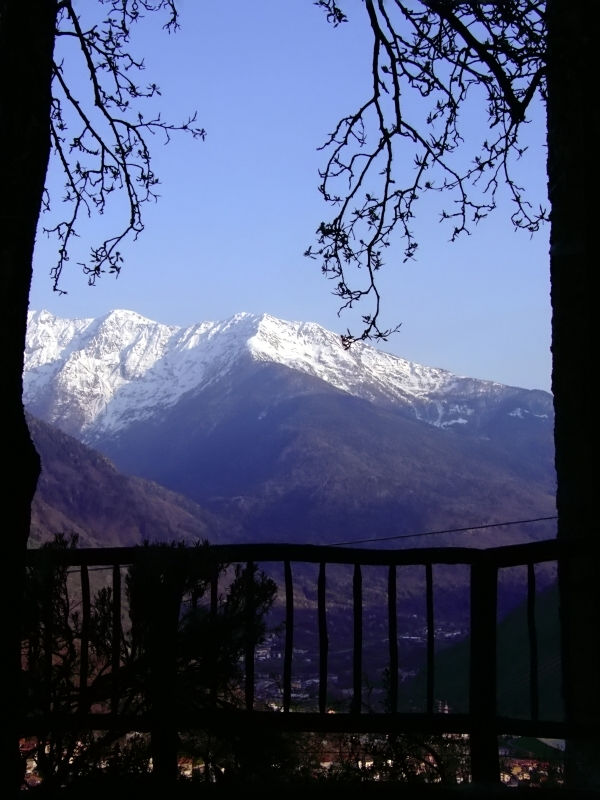 DSCF1210.JPG