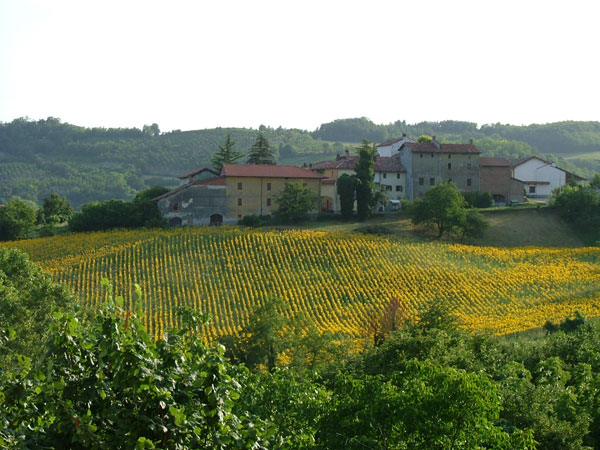 DSCF1230.jpg