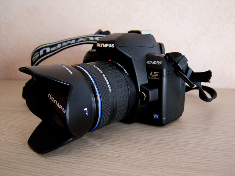 DSCF1231.jpg