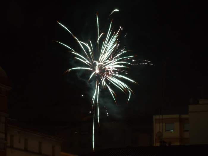 DSCF1278_1.jpg