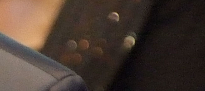 DSCF1307b.jpg