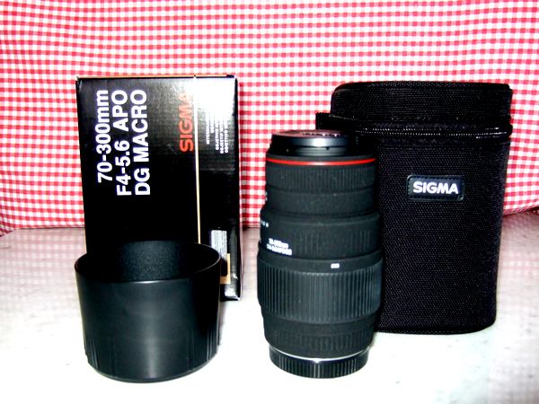 DSCF1364.jpg