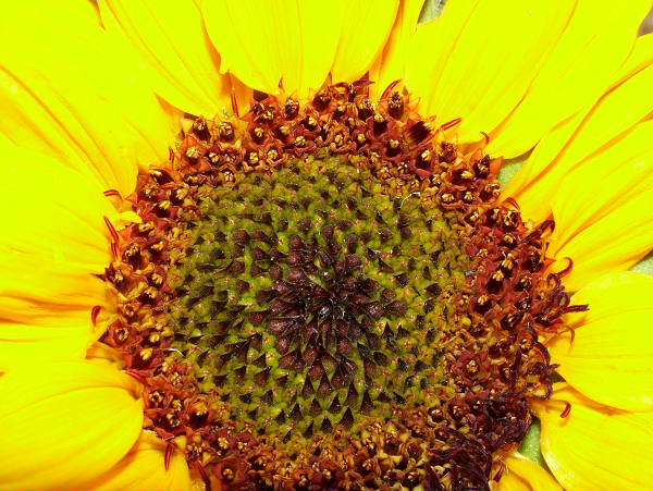 DSCF1401.JPG