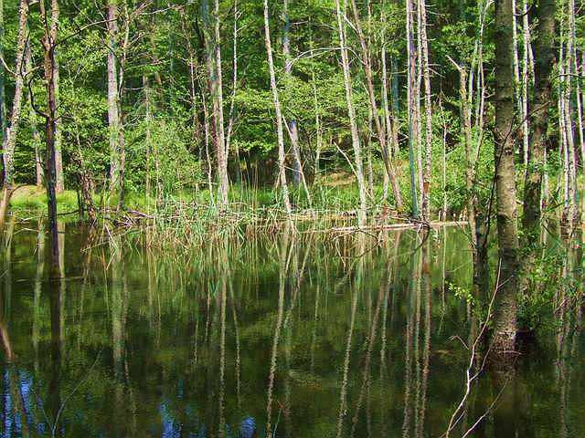 DSCF1408 [640x480].JPG