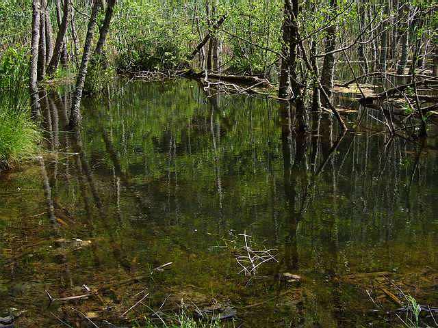 DSCF1417 [640x480].JPG