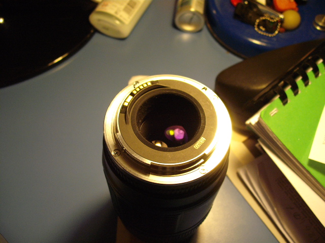 DSCF1429.JPG