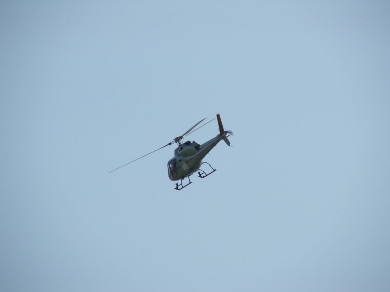 DSCF1431.JPG