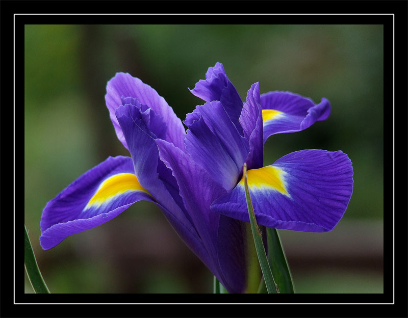 DSCF1434.jpg