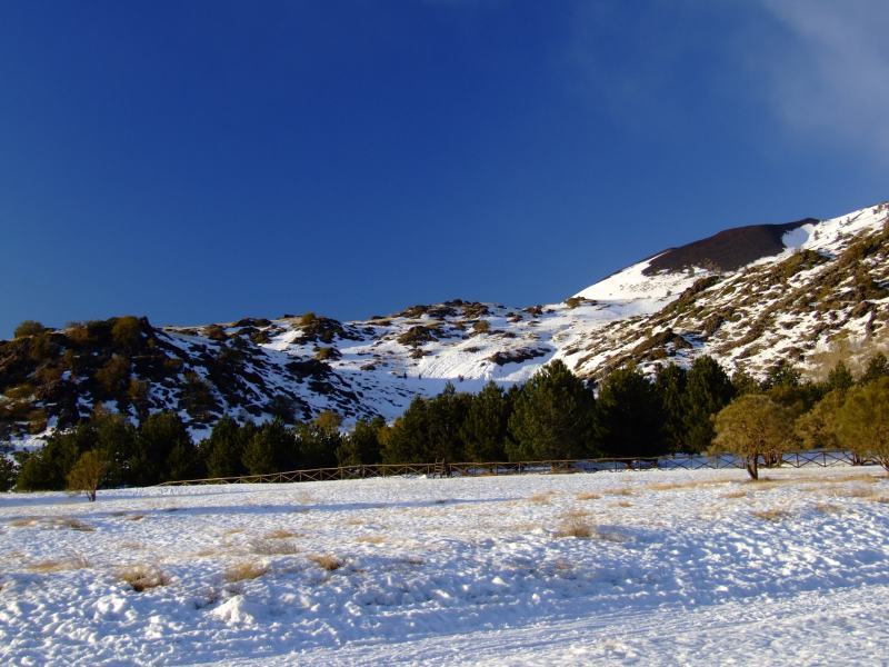 DSCF1434_1.JPG