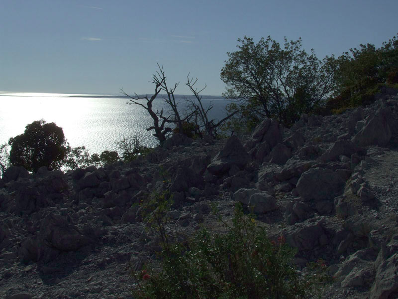 DSCF1436.JPG