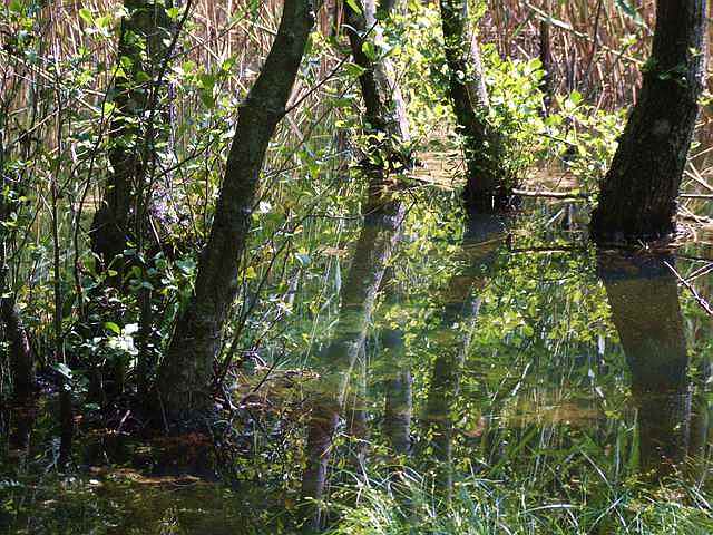 DSCF1437 [640x480].JPG
