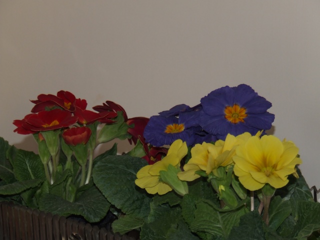 DSCF1469.JPG
