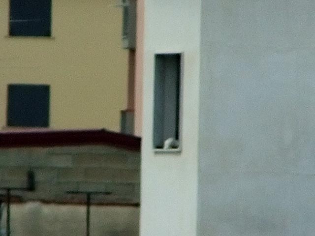 DSCF1470.JPG
