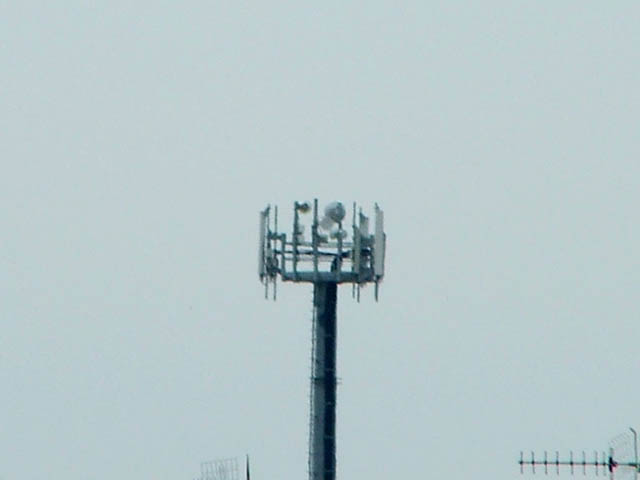 DSCF1474.JPG