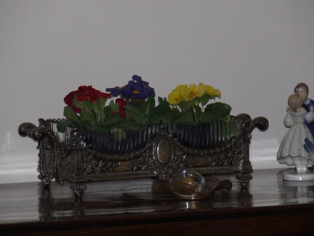 DSCF1484.jpg