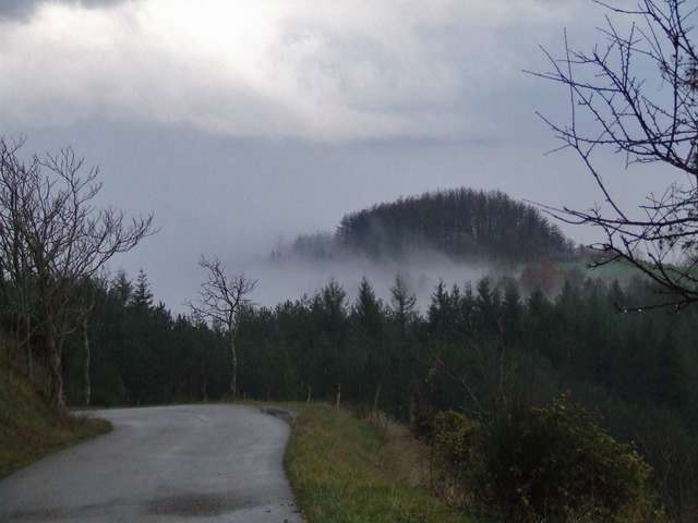 DSCF1509 [640x480].JPG